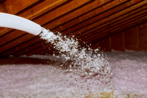 Best Geographic-Specific Insulation Services in Moosic, PA