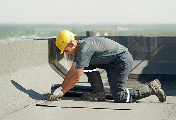 Best Cellulose Insulation in Moosic, PA
