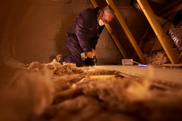 Types of Insulation We Offer in Moosic, PA